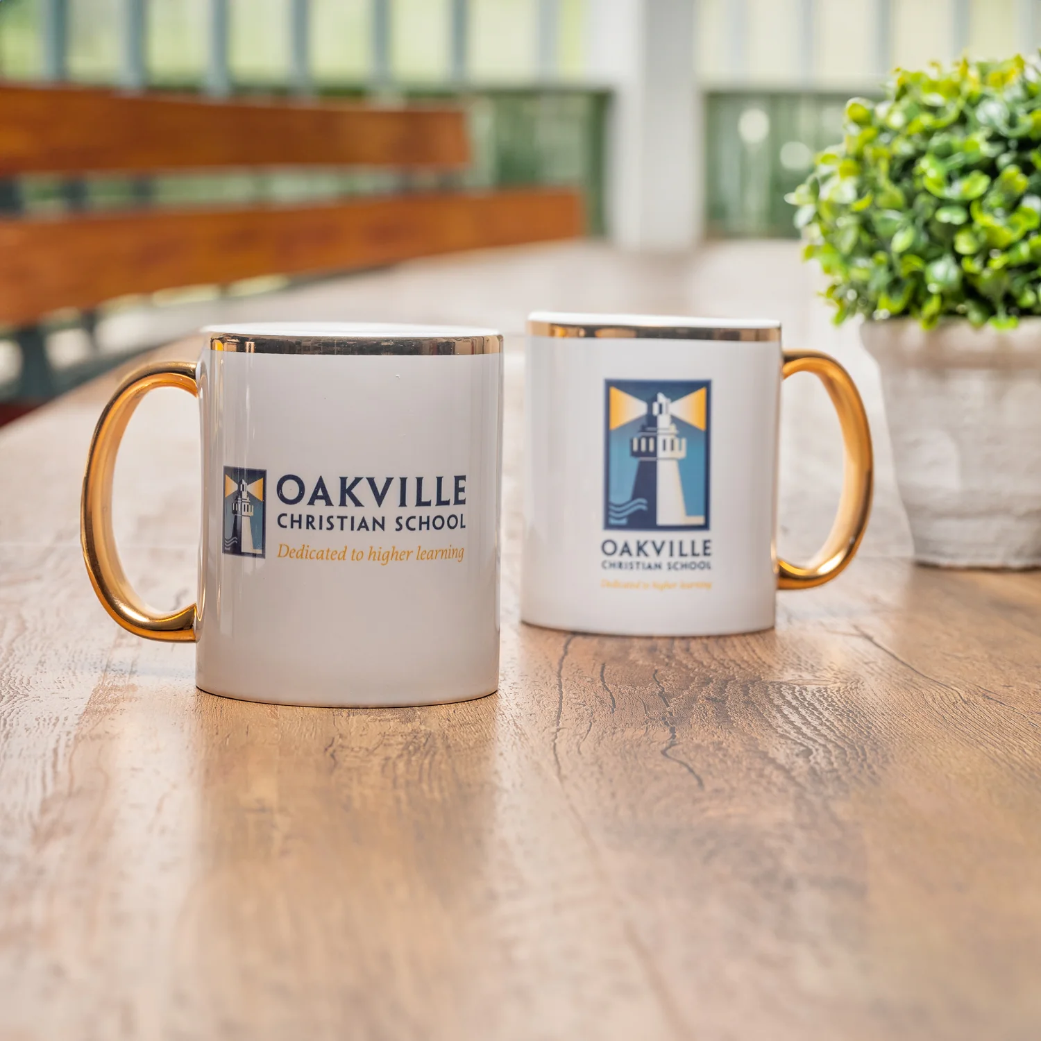 Gold Rimmed Mug - Image 5