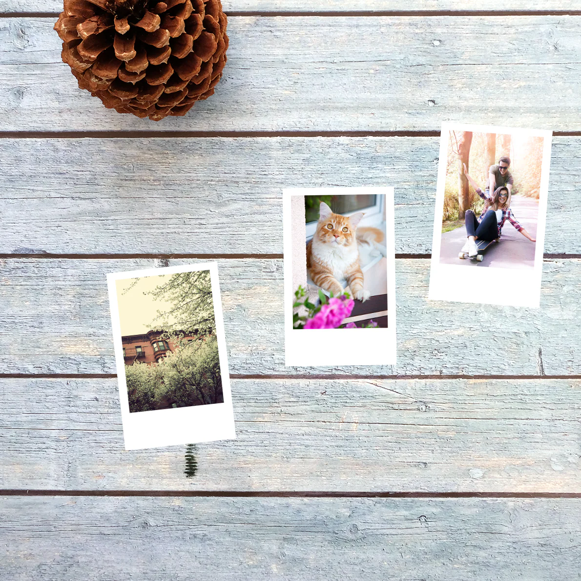 Instax Style Retro Prints - Image 8