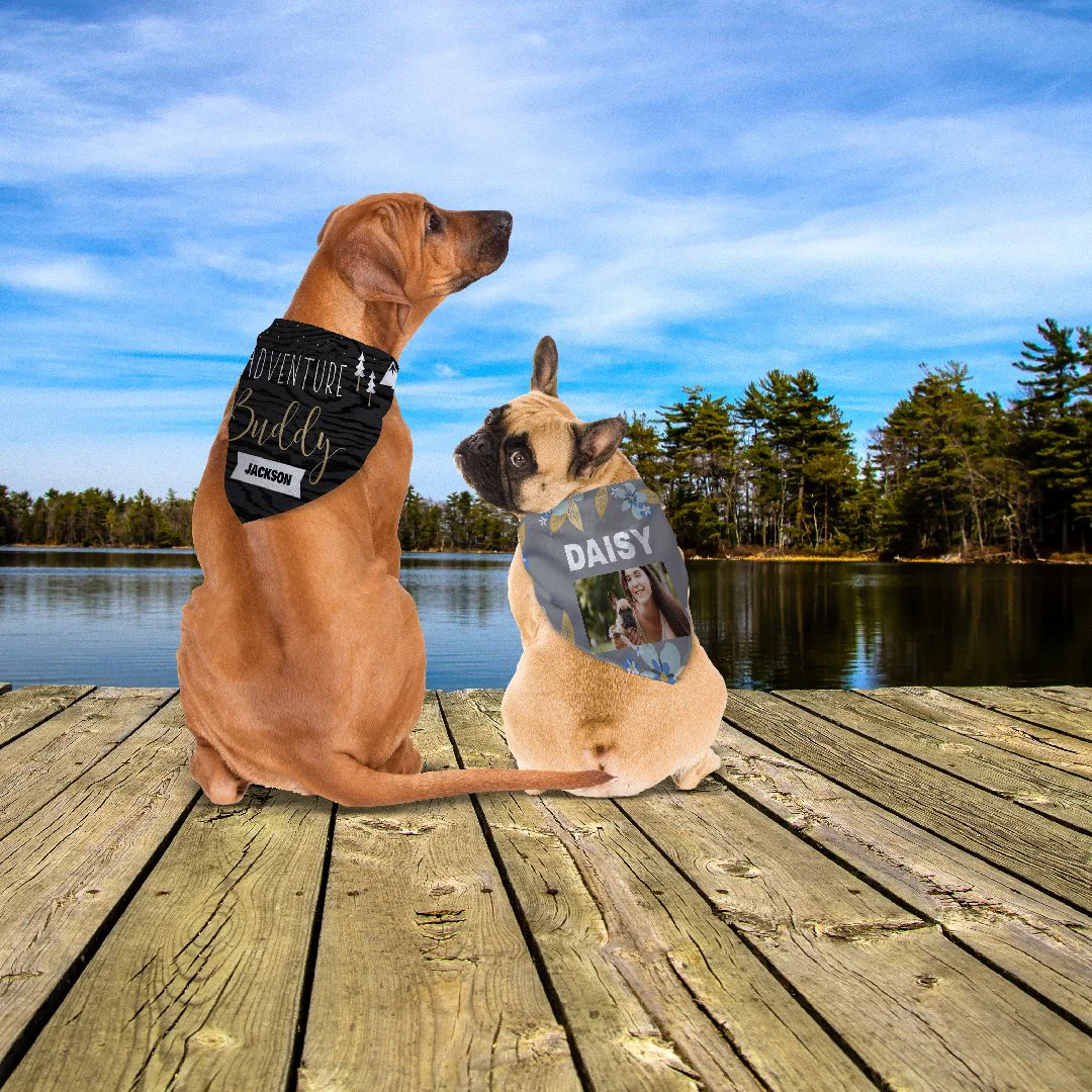 Pet Bandana - Image 4