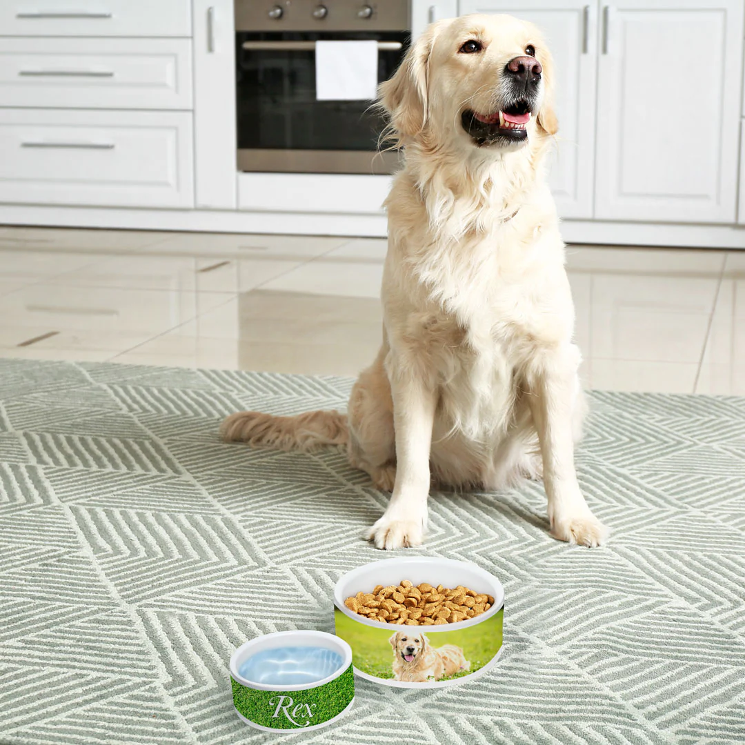 Pet Bowl - Image 3