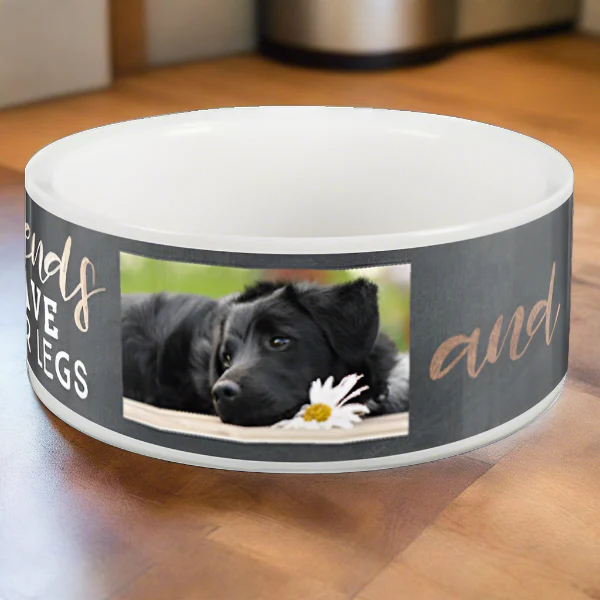 Pet Bowl - Image 4