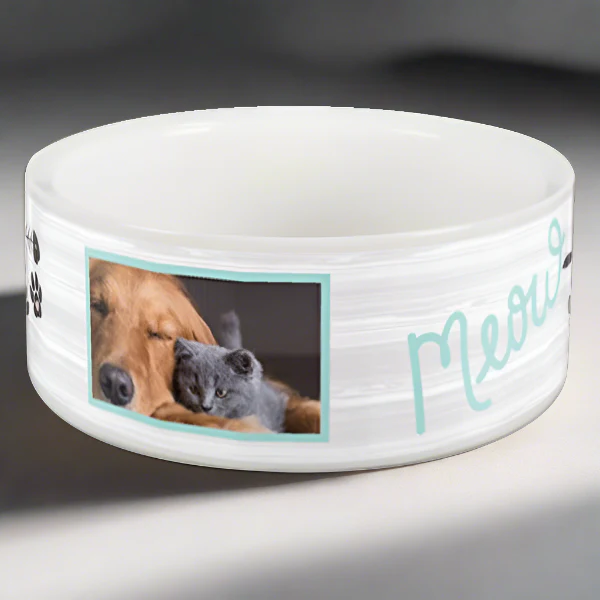Pet Bowl - Image 5