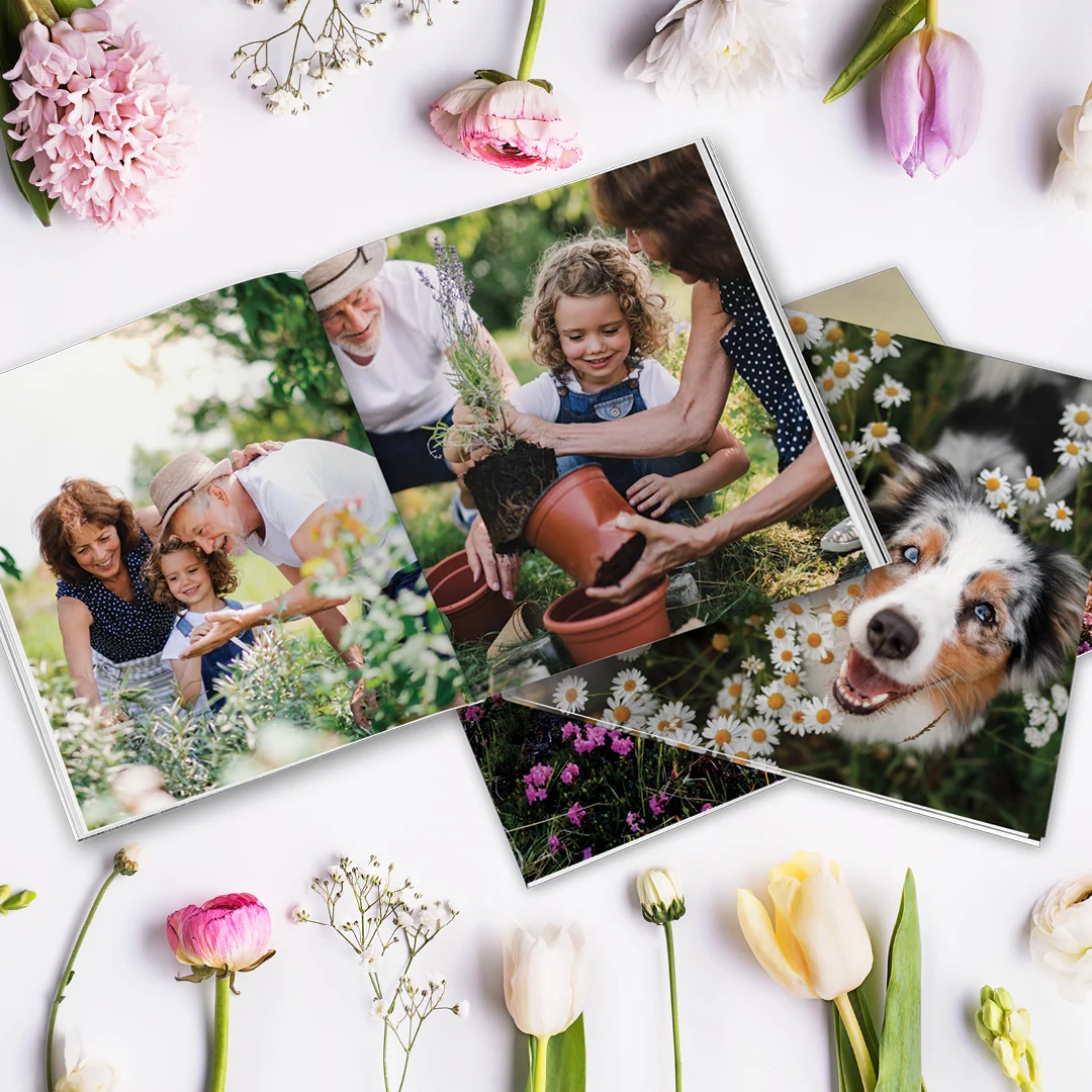 Photo Books - Image 11