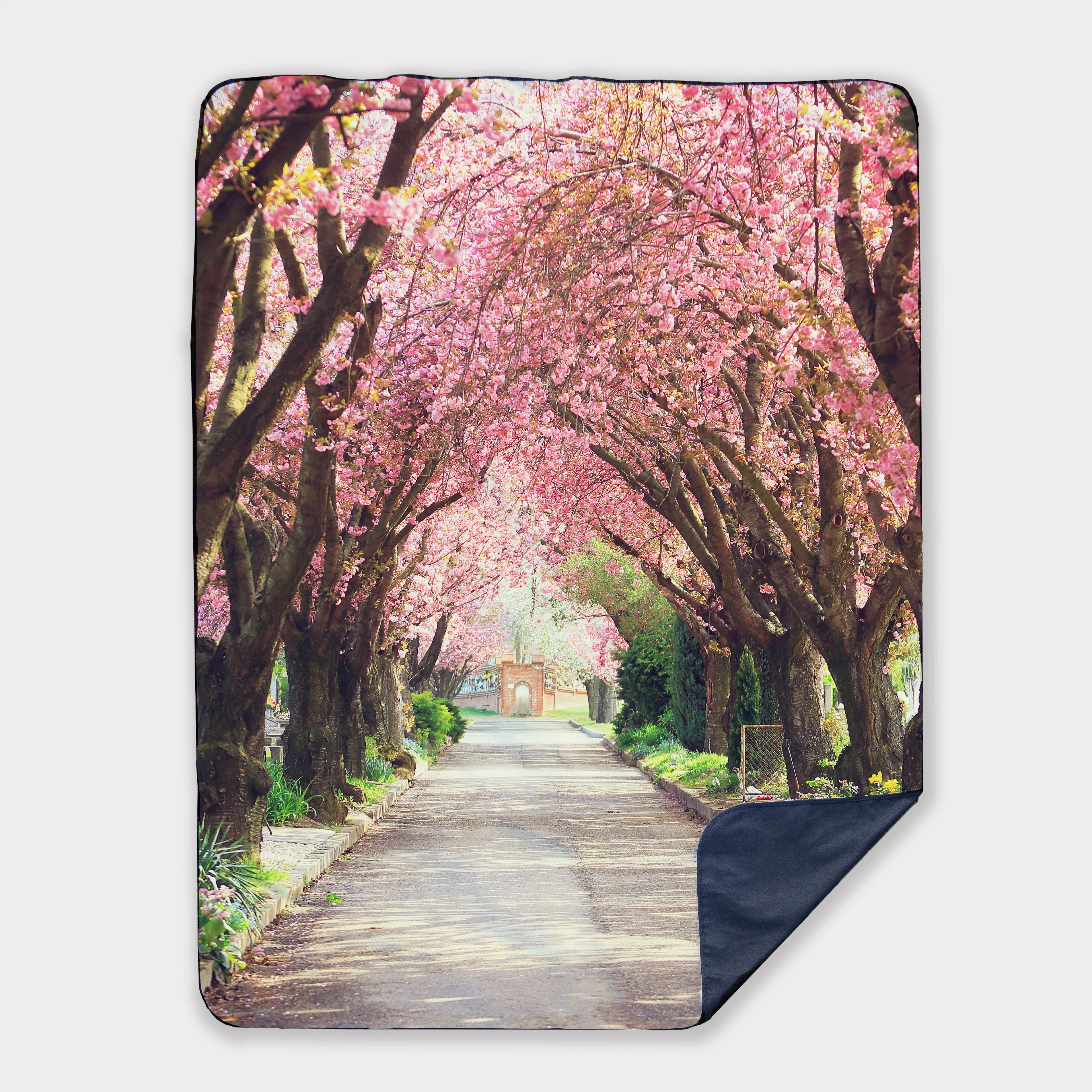 Picnic Blankets - Image 5