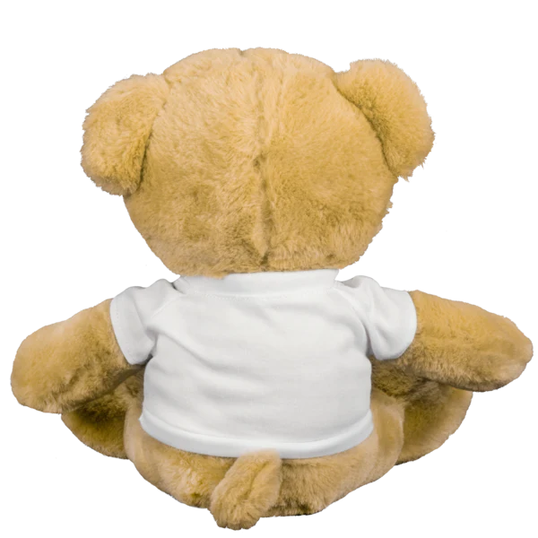 Teddy Bear with T-shirt - Image 4