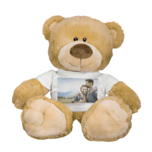 Teddy Bear with T-shirt - Image 5